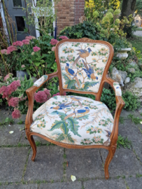 Oud dames stoeltje paradijsvogel