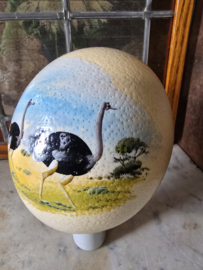 Struisvogel ei
