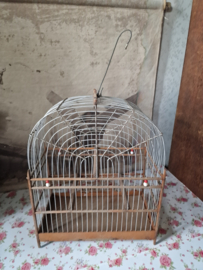 Oud surinaams zangvogel vogelkooitje