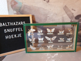 Vintage kijk vitrine opgezette vlinders