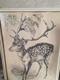 Vintage prent hert in houten lijst