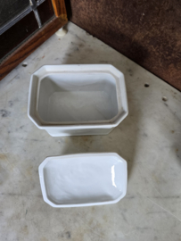 Witte botervloot apilco france