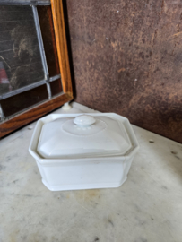 Witte botervloot apilco france