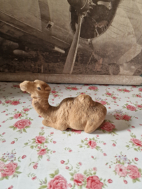 Oude flock kameel