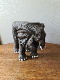 Plantentafel tafeltje olifant