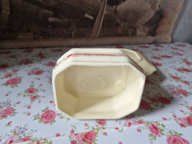 Botervloot Victoria rood
