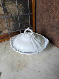 Dekschaal wellington petrus regout servies
