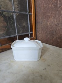 Witte botervloot apilco france