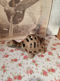 Gietijzeren schildpad