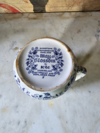 May blossom kan staffordshire England