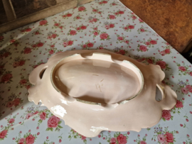 Art nouveau zachtroze aspergeschaal