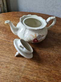 Theepot mosa Maastricht