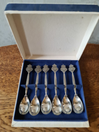 De gruijter lepeltjes in doosje Keltum