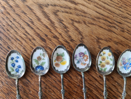 Verzilverde mokka lepeltjes bokkenpootje emaille bloemen