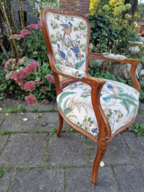 Oud dames stoeltje paradijsvogel