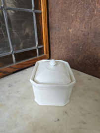 Witte botervloot apilco france