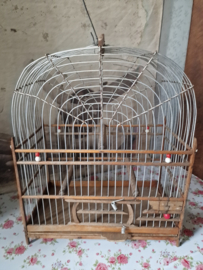 Oud surinaams zangvogel vogelkooitje