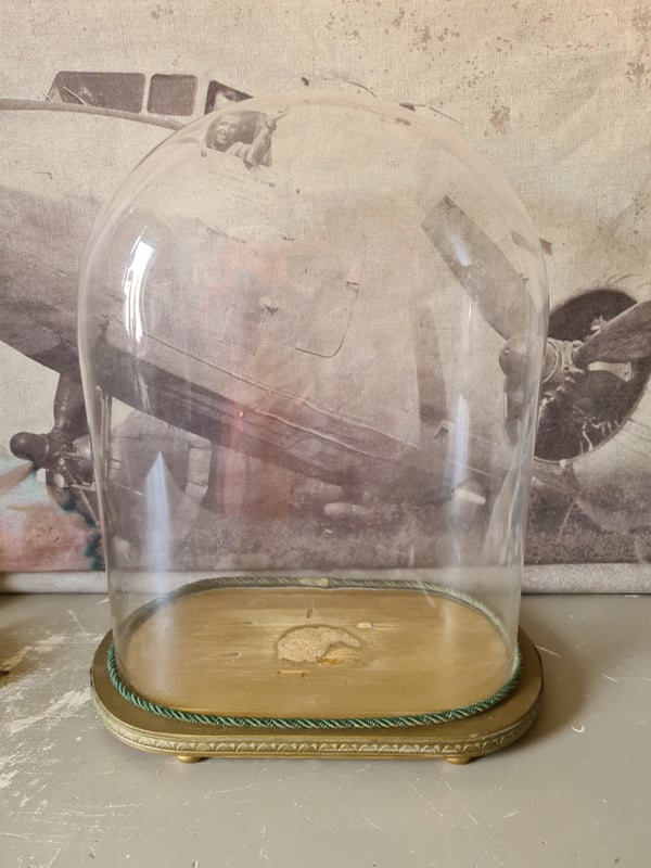 Antieke ovale glazen stolp | verkocht! | snuffelhoekje
