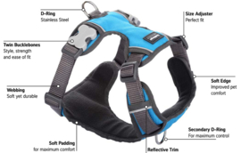 Padded Harness Turquoise XS