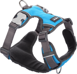 Padded Harness Turquoise XS