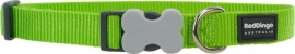 Halsband Hond - Lime Green