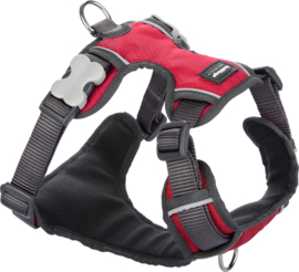 Padded Harness Rood