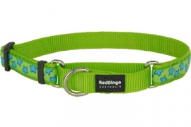 Halsband Martingale - Stars Turquoise on Lime Green