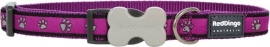 Halsband Hond - Paw Prints Purple