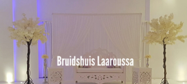 Bloesembomen - te huur per 2 stuks voor €100 (totaal 4 stuks)