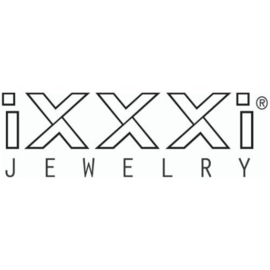 iXXXi oorstekers Design Rectangle ; zilverkleur