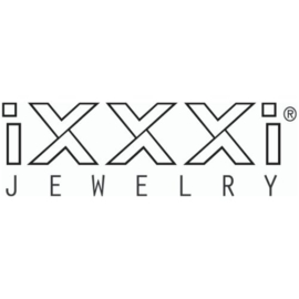 iXXXi Basisring 12 mm, zilver