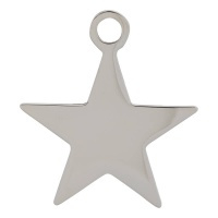 Charm Star ; Silvercolor ; groot