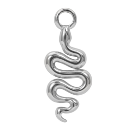 Charm Snake ; Silvercolor