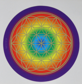 Flower of Life regenboog gekleurd 7,5 cm stickerset