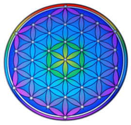 Raamsticker Flower of Life 14cm