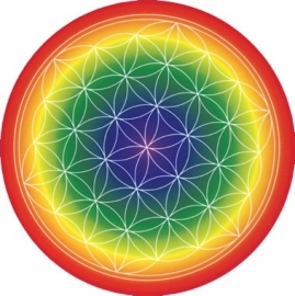 Flower of Life, sticker 5 cm doorsnee