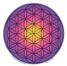 Raamsticker Flower of Life paars gekleurd sticker 10,5cm doorsnede