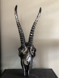 PTMD skull metallic