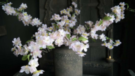 Bloesem namaak tak | zachtroze