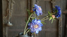 Scabosia tak blauw/paars | kunst 58 cm