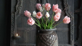 Bosje Tulp parrot roze/wit l 40 cm