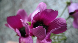 Chrysant kunst bloem | roze