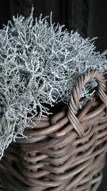 Plantenmand rotan thick