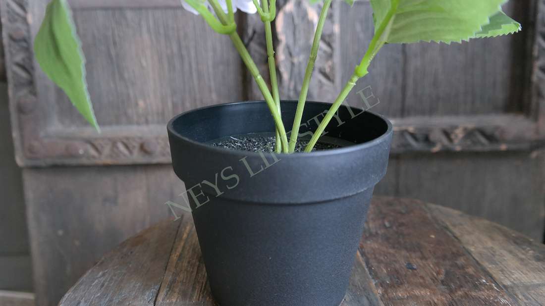 Hortensia plant zijden | wit