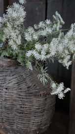 Vissers/leem mand grey | XL