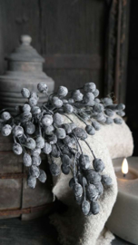 Bosje bessen old purple | namaak