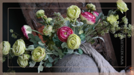 Ranunculus tak | roze/créme 50 cm