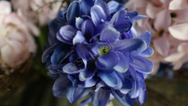 Bosje hyacinthen kunst | donkerblauw
