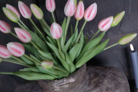 Bosje tulpen in knop | roze