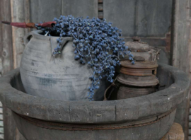 Olijfbak | antique wood